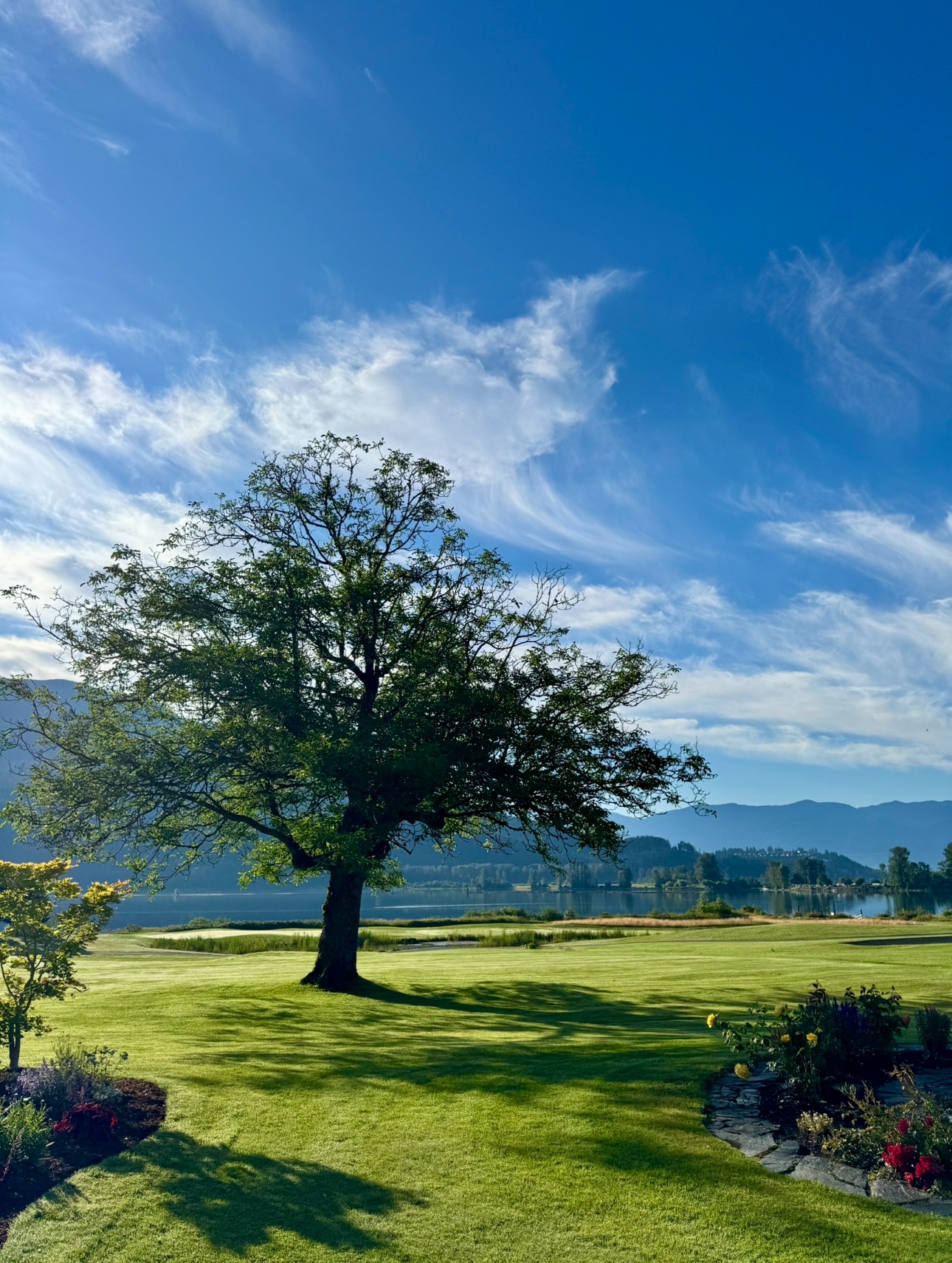 View recent photos (1)